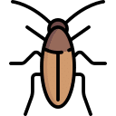 Viper Pest Services cockroach