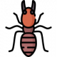 soldier-termite