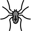 Viper Pest Services spider